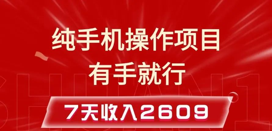 手机操作的小项目，随时提现，按照这个方法月入8000+-优优网创