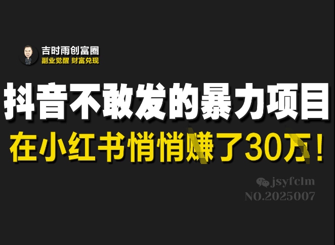 抖音不敢发的暴利项目，在小红书悄悄挣了30W-优优网创