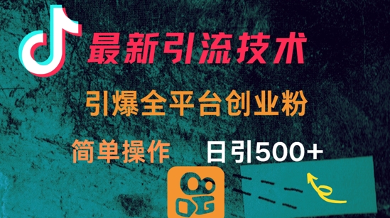 最新引流方法，引爆全平台的一个创业粉，简单操作日引300+-优优网创